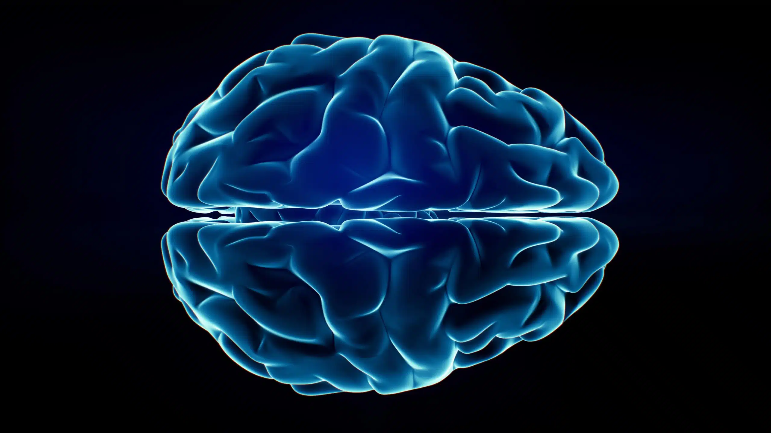 Xray Brain isolated on black background