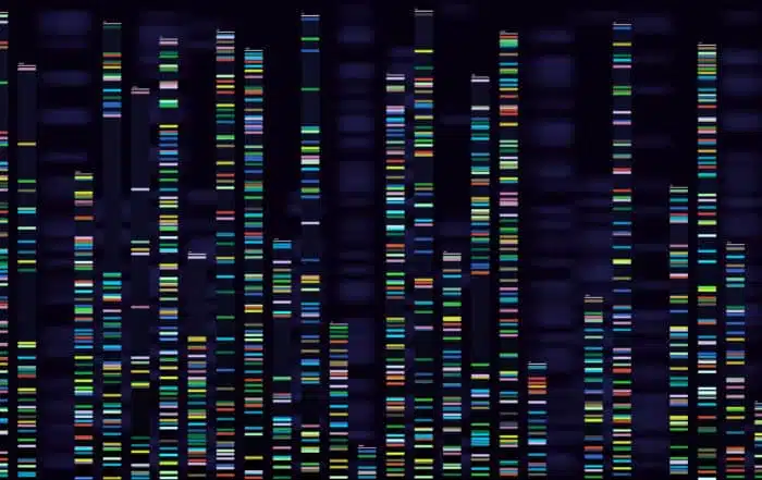 Dna analysis visualization