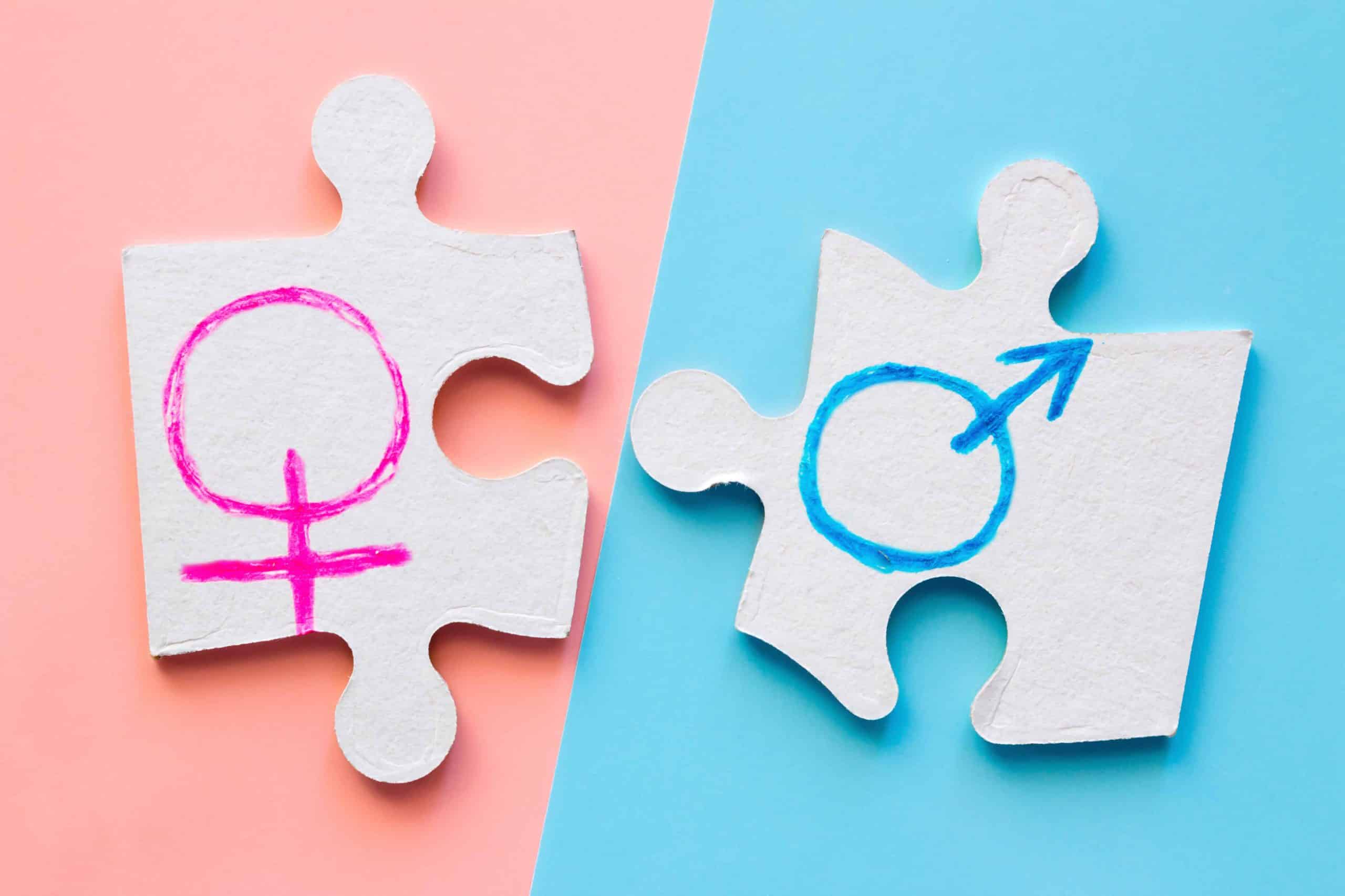 puzzle pieces with male and female gender symbols on the pink and blue background. concept equality