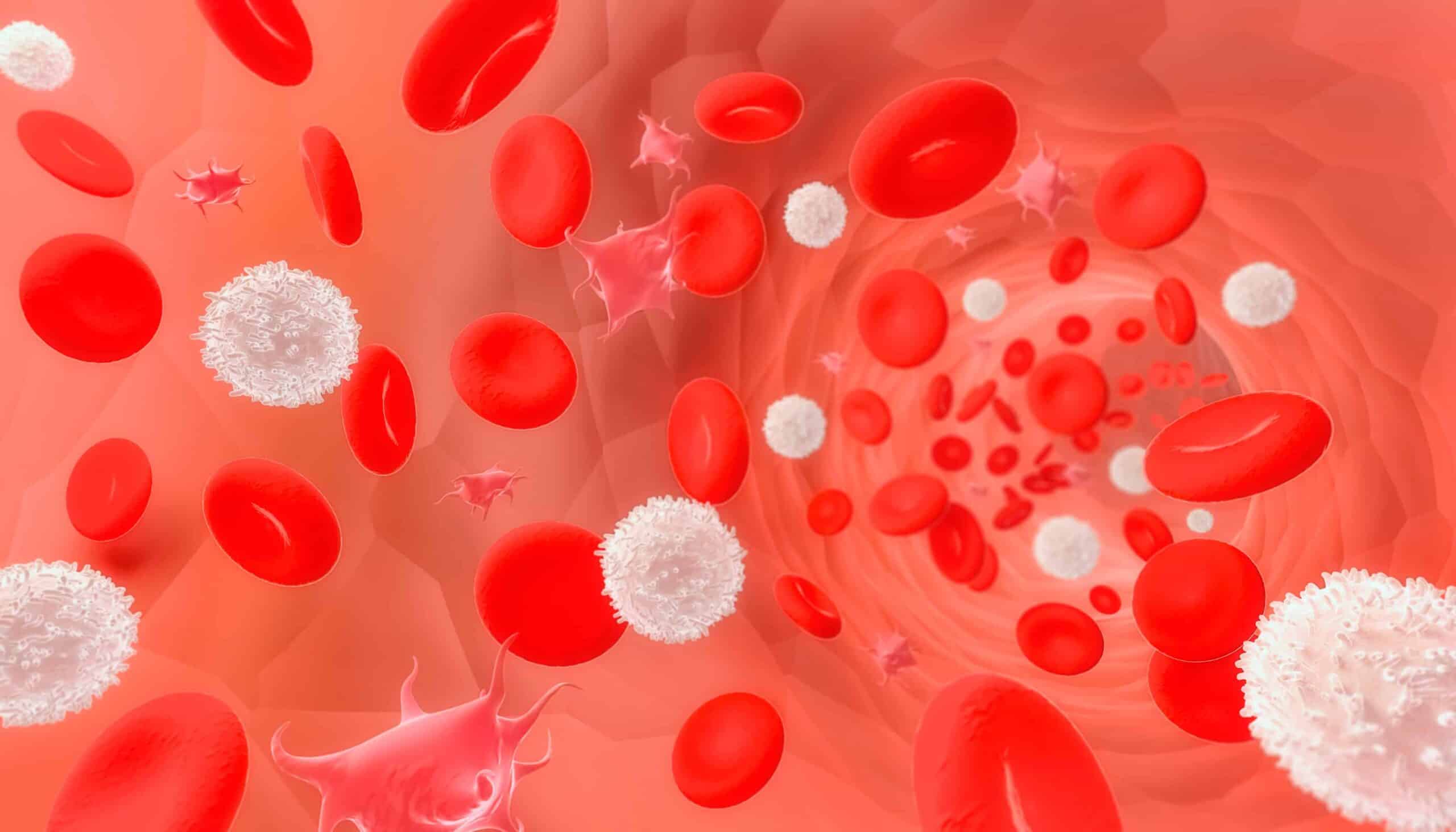 Red and white blood cells and platelets flowing through a vessel Red and white blood cells