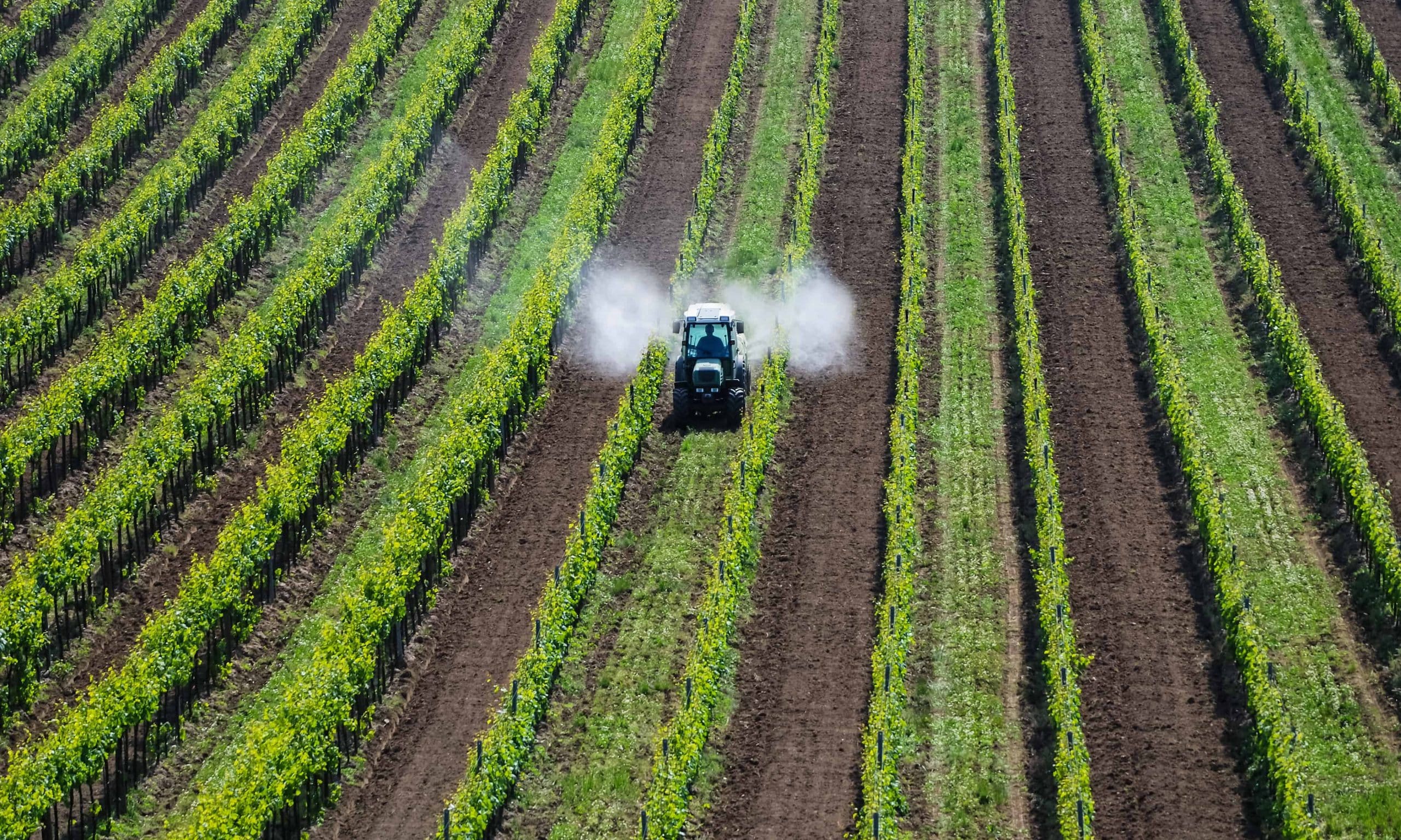 Tractor spraying pesticides on crops