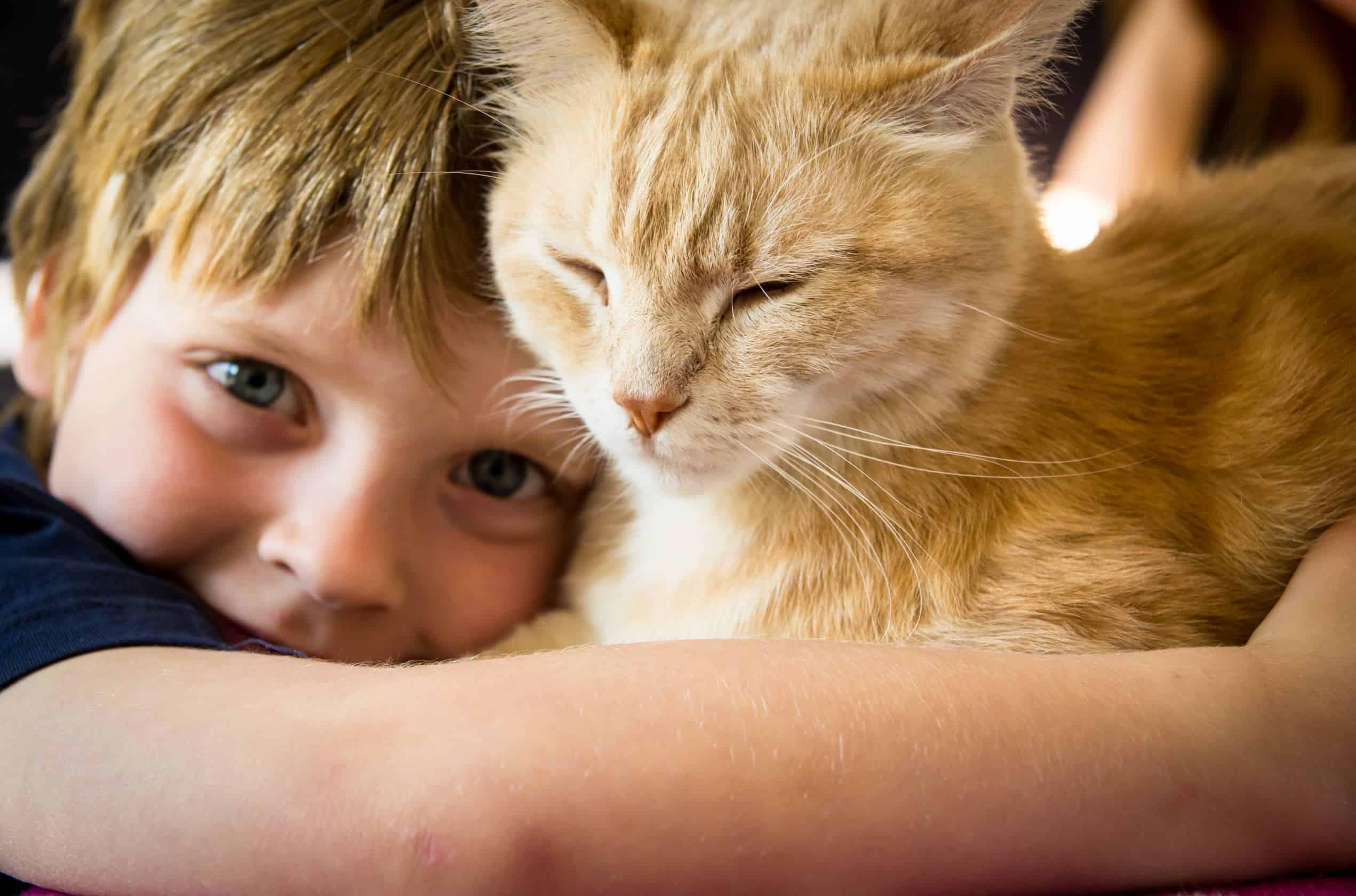 Kid is hugging cat