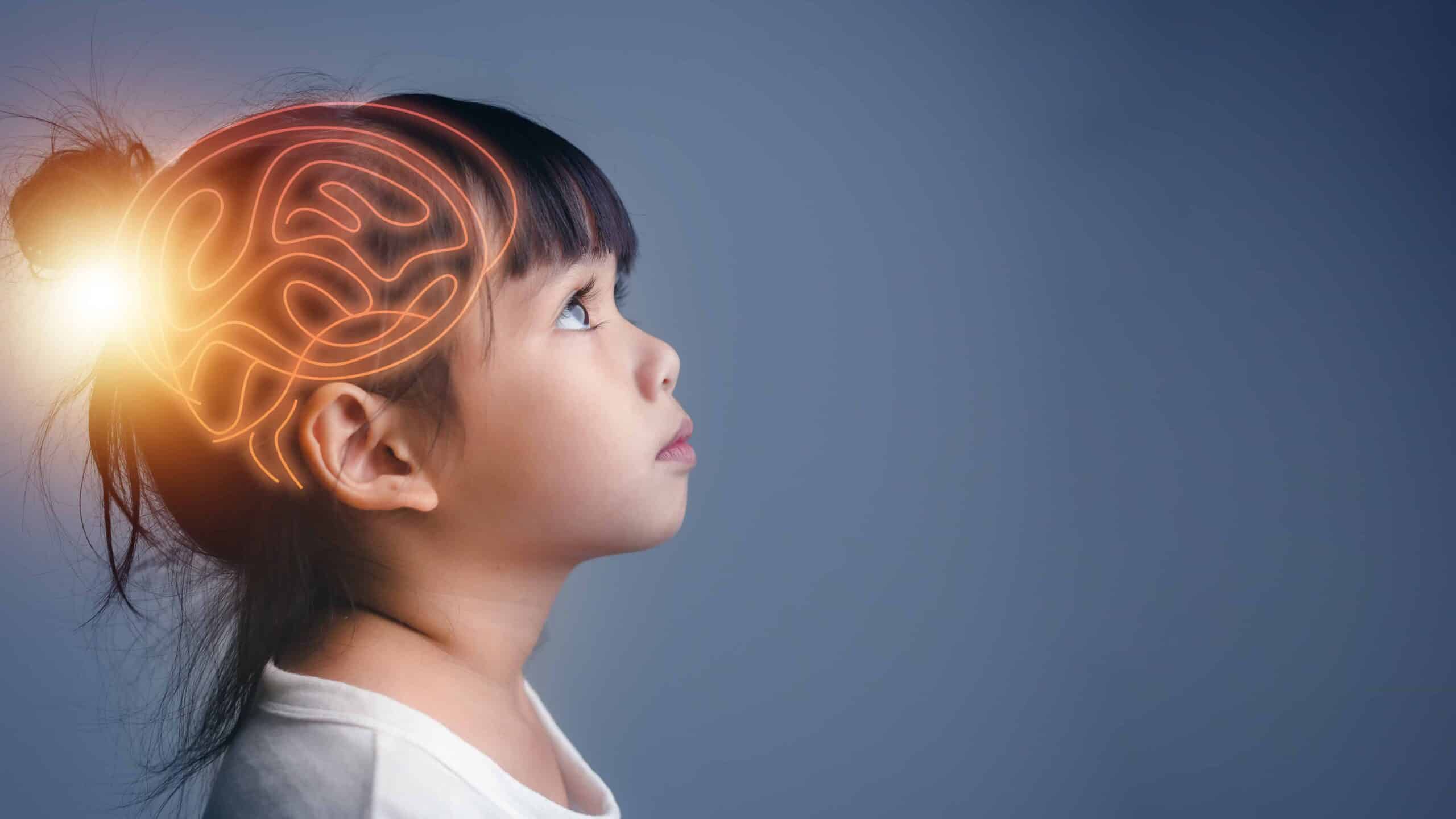 Brain Nervous System concept. Science is something that children should study and learn. Thinking process and Psychology of Kids. Drawing of a brain outlined over a young girl's head