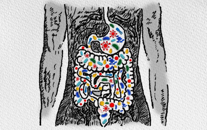 Black and white drawing for human torso with multicolored bacteria and yeasts in digestive tract