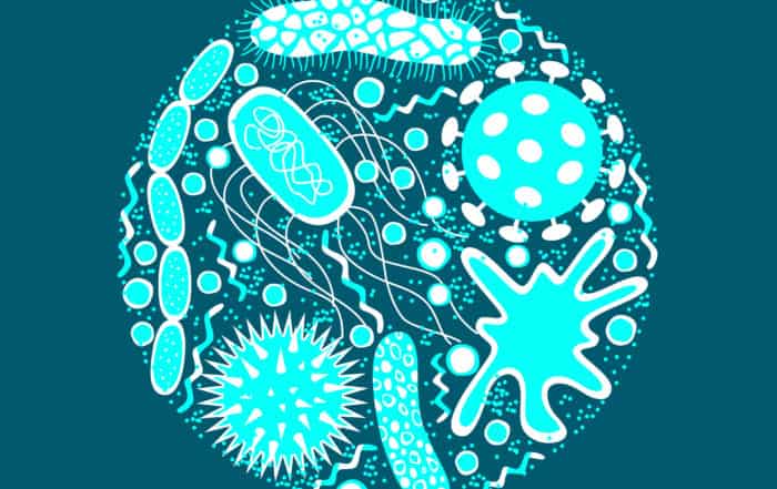 Germs and bacteria