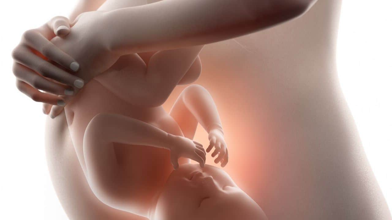 Artwork showing a pregnant woman with a visible baby bump