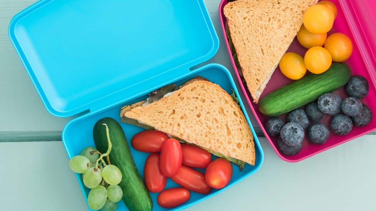 lunch box