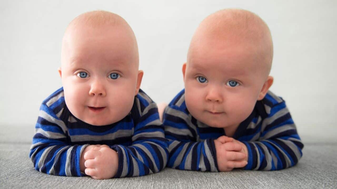 Twin babies with blue eyes