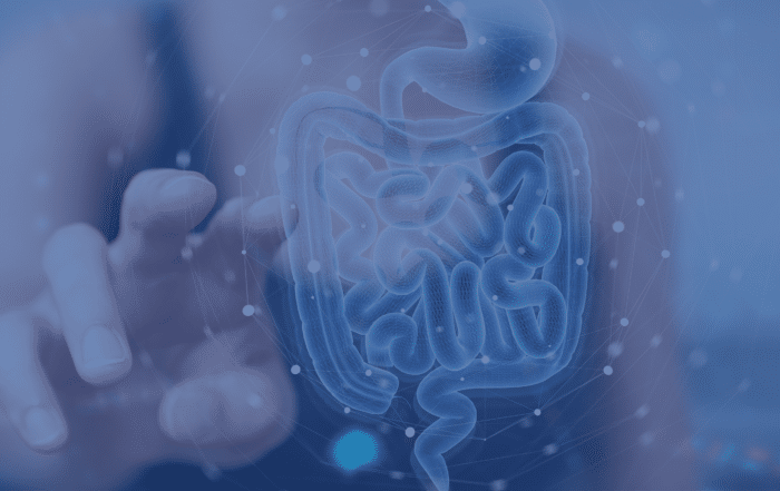 Close-up of a gut scan showing detailed internal structures