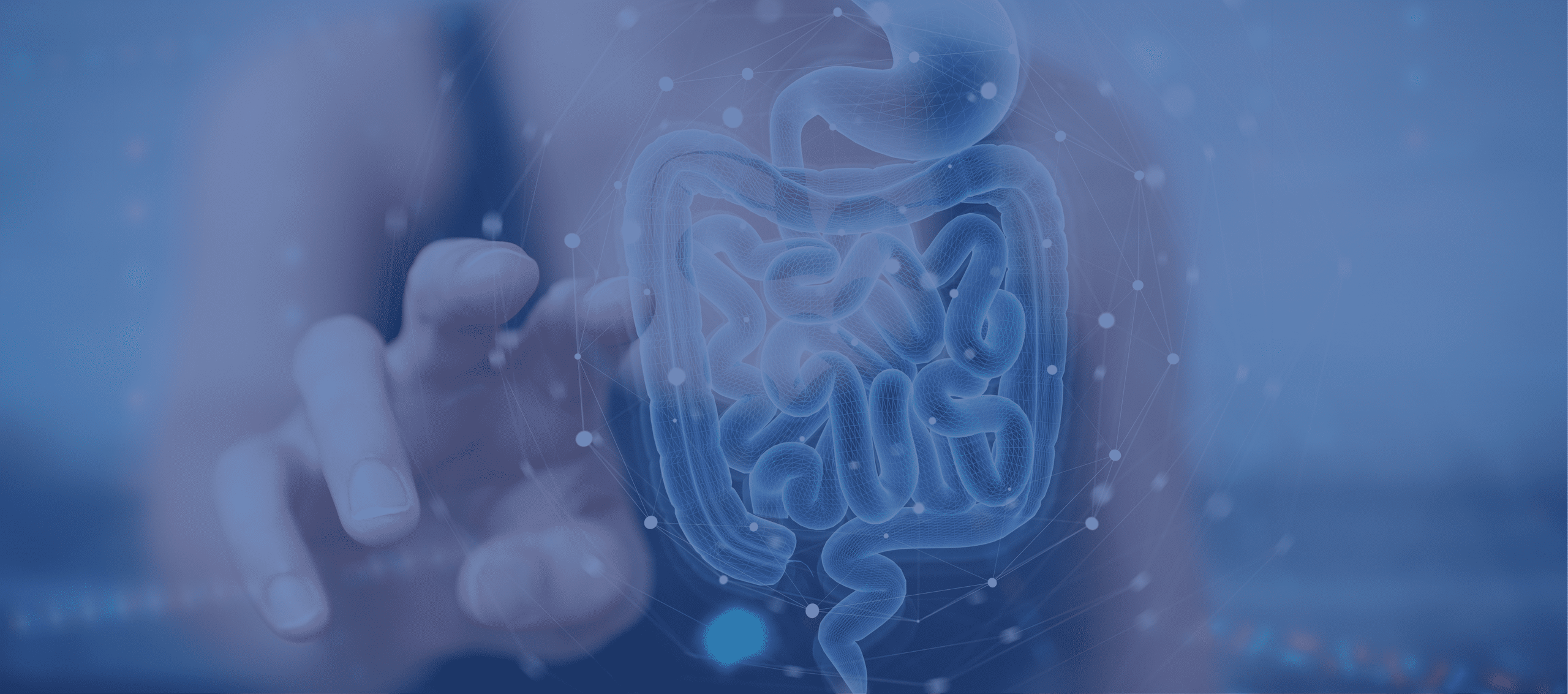 Close-up of a gut scan showing detailed internal structures