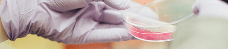 Glove holding a scientific sample